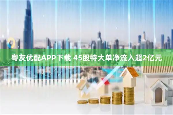 粤友优配APP下载 45股特大单净流入超2亿元